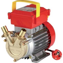 ELETTROPOMPA TRAVASO OTTONE CE ROVER