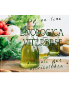 Olivicoltura